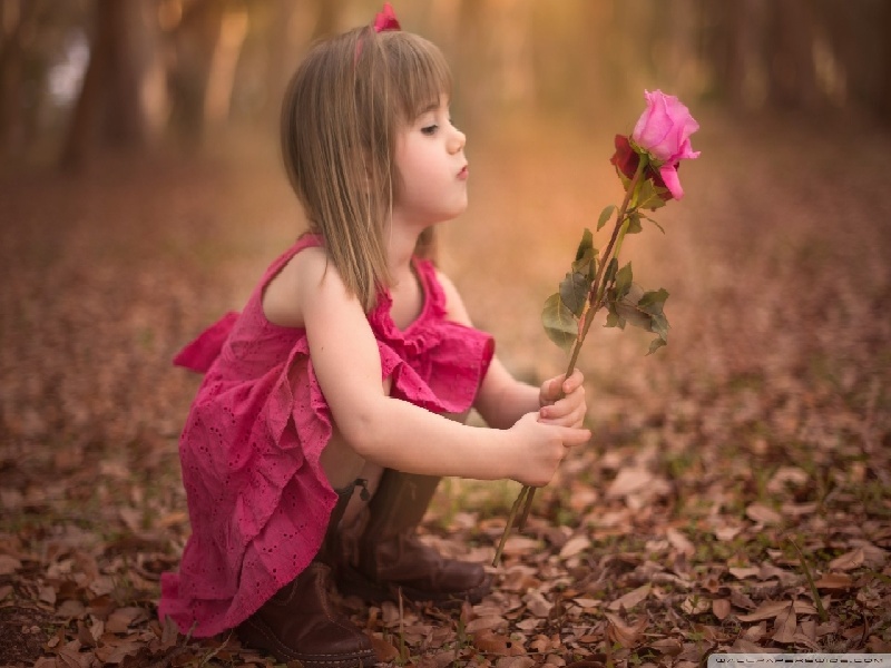 试管凝集试验实验南京试管定方案泰国供卵费用